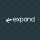expand executive search logo